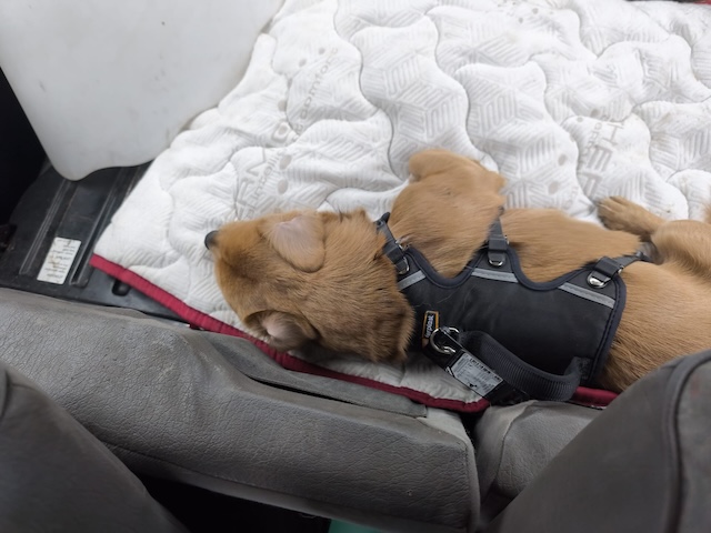 WhatsApp Image 2026-02-14 at 20.58.51 (3)