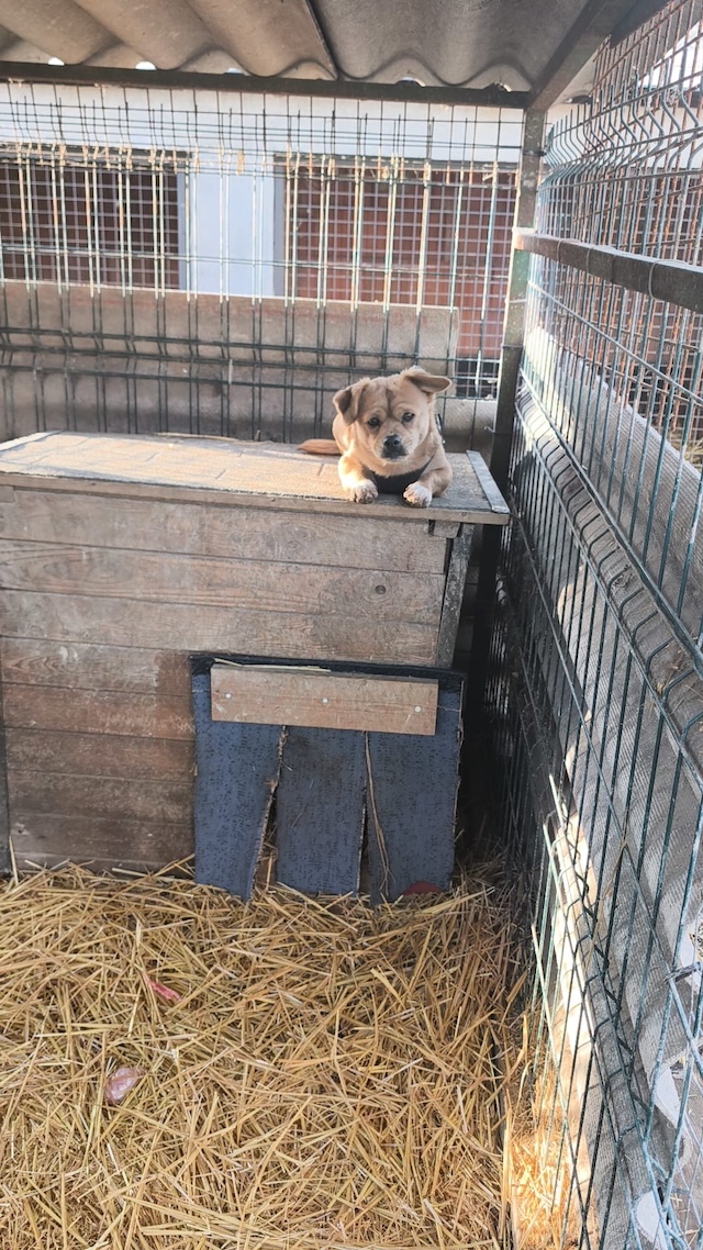 WhatsApp Image 2026-02-14 at 21.02.36 (2)