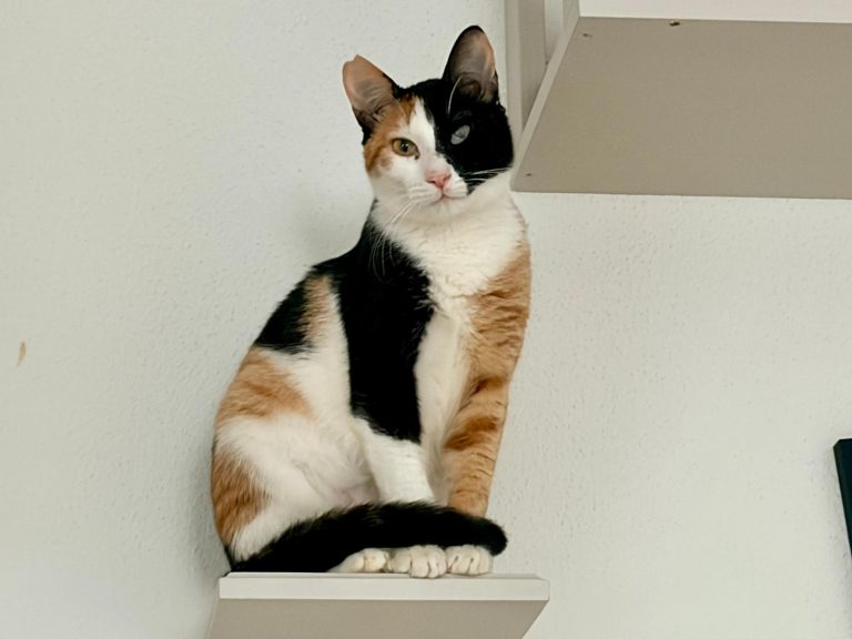 WhatsApp Image 2026-03-17 at 12.14.59