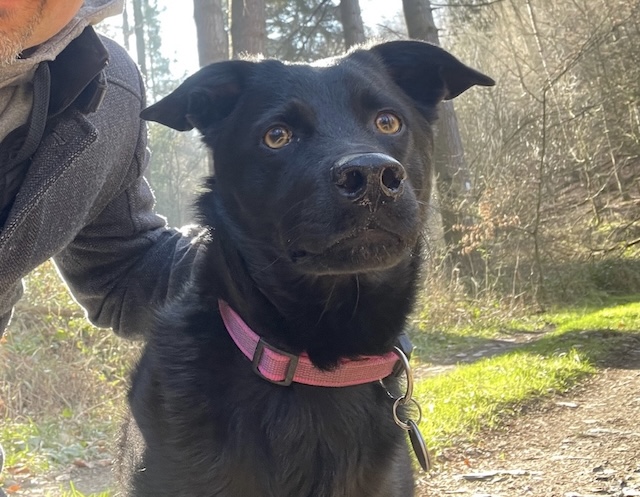 fellengel_annabell_8