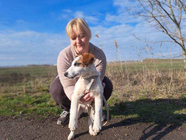 fellengel_beethoven_5