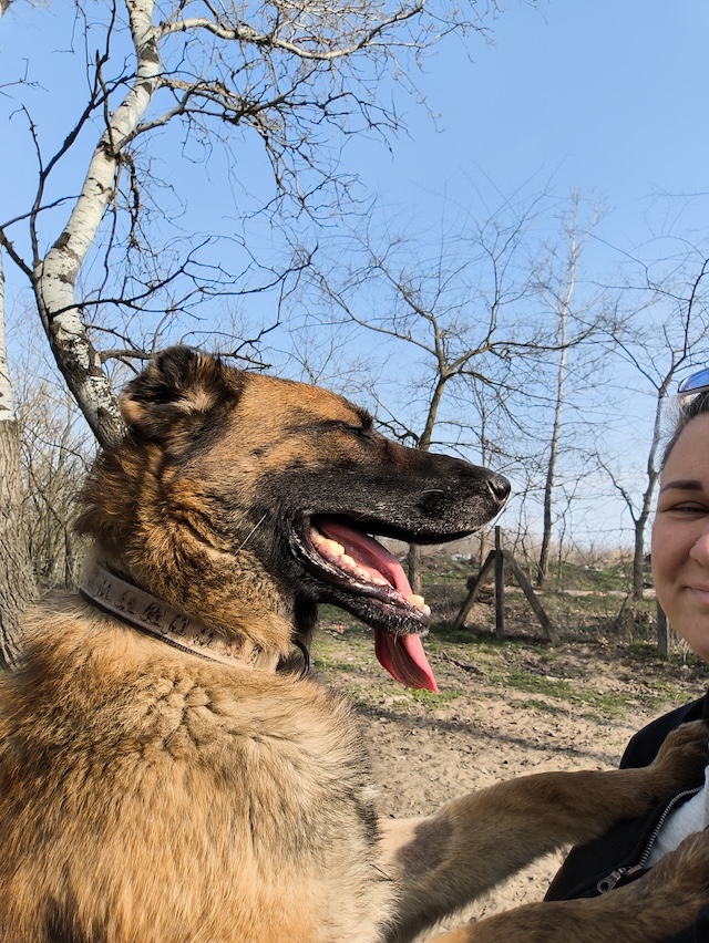 fellengel_pumba_1