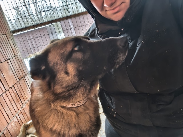 fellengel_pumba_18