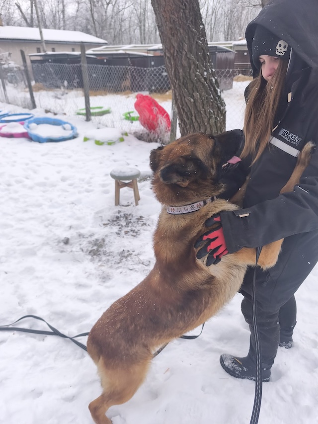 fellengel_pumba_26