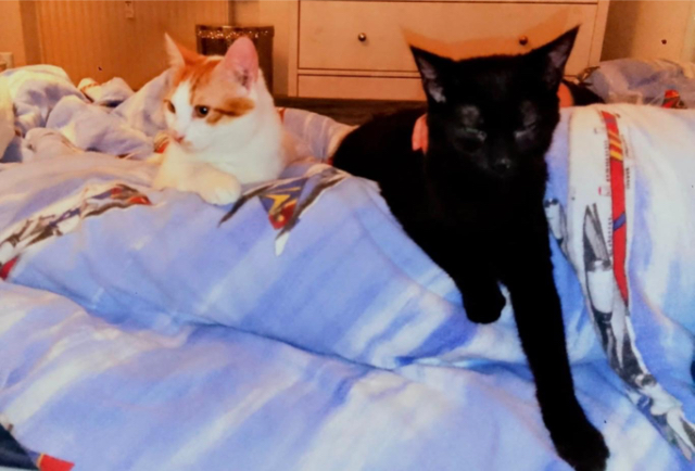 Fellengel_Slush und Zuki