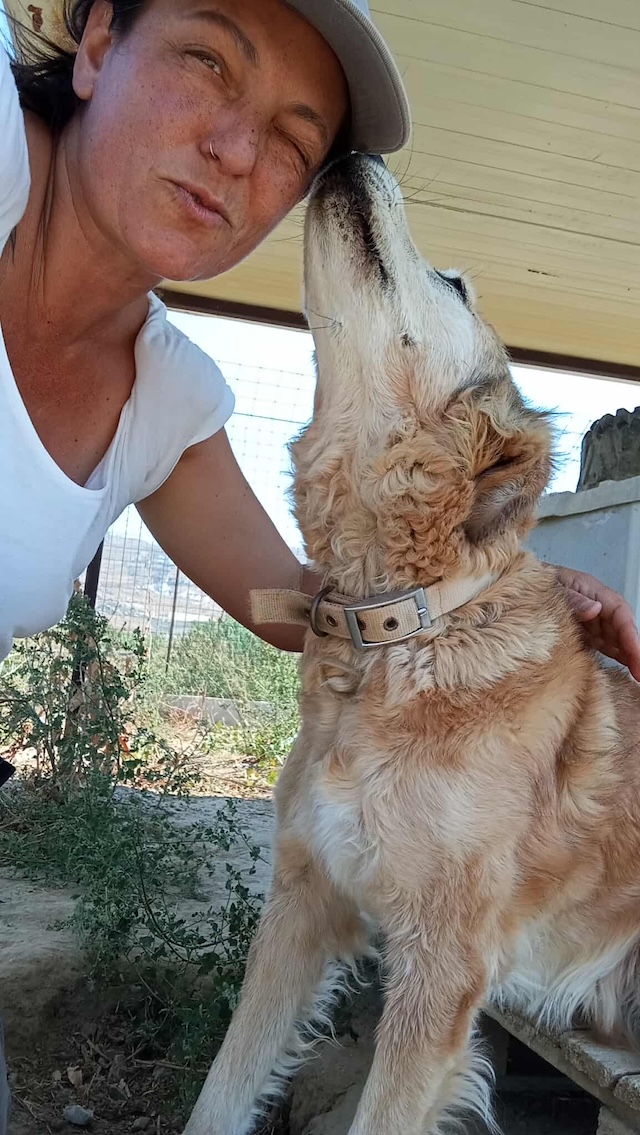 fellengel_laourita_5