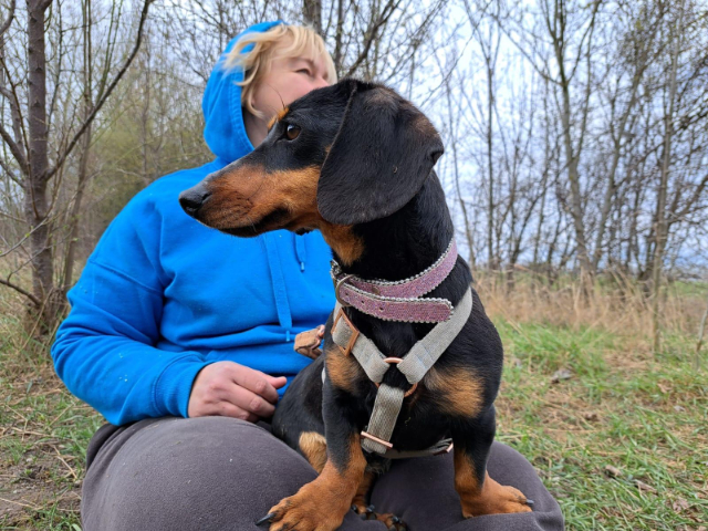 fellengel_little Jazmin_7