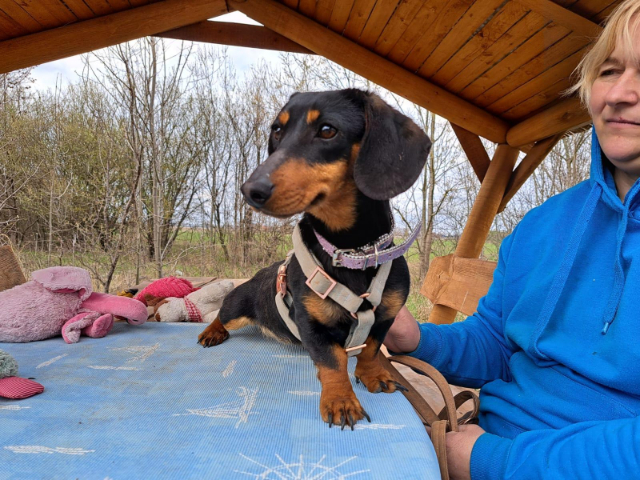 fellengel_little Jazmin_8