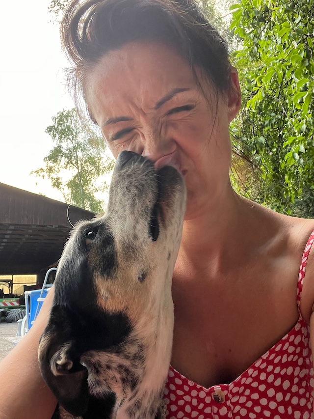 fellengel_trudi4