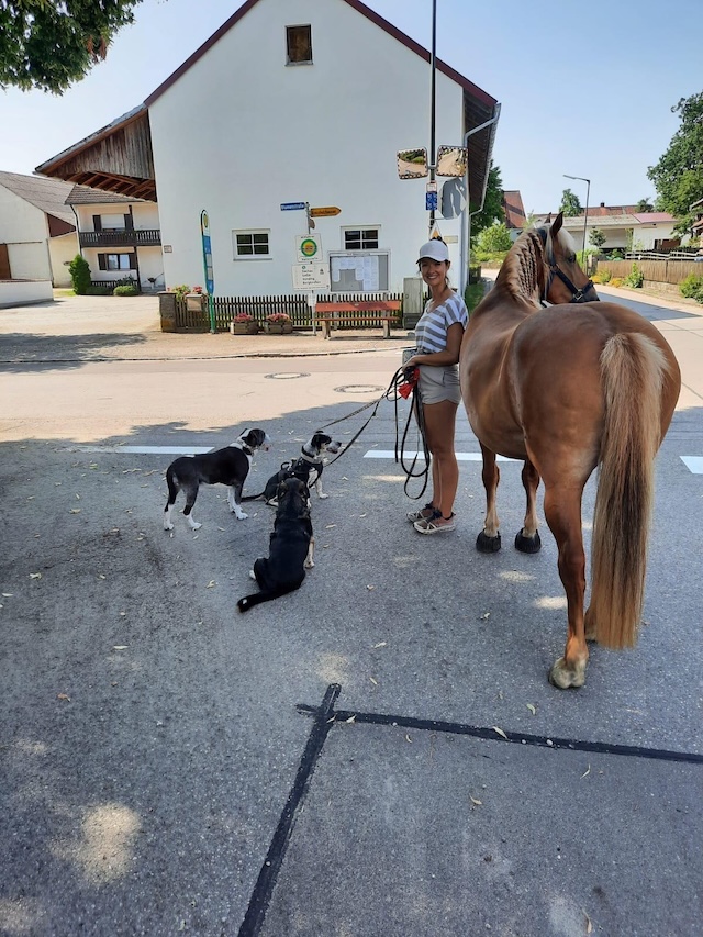 fellengel_trudi6