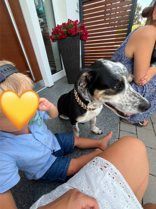 fellengel_trudi_20