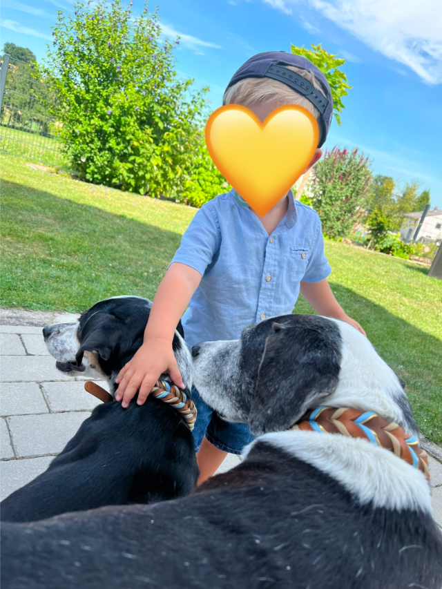 fellengel_trudi_21