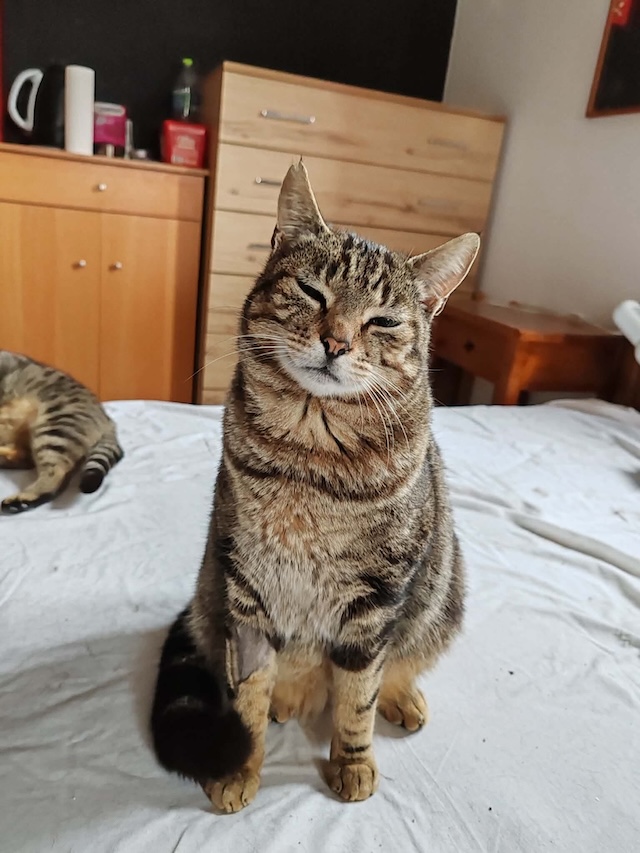 fellengel_charlie_8