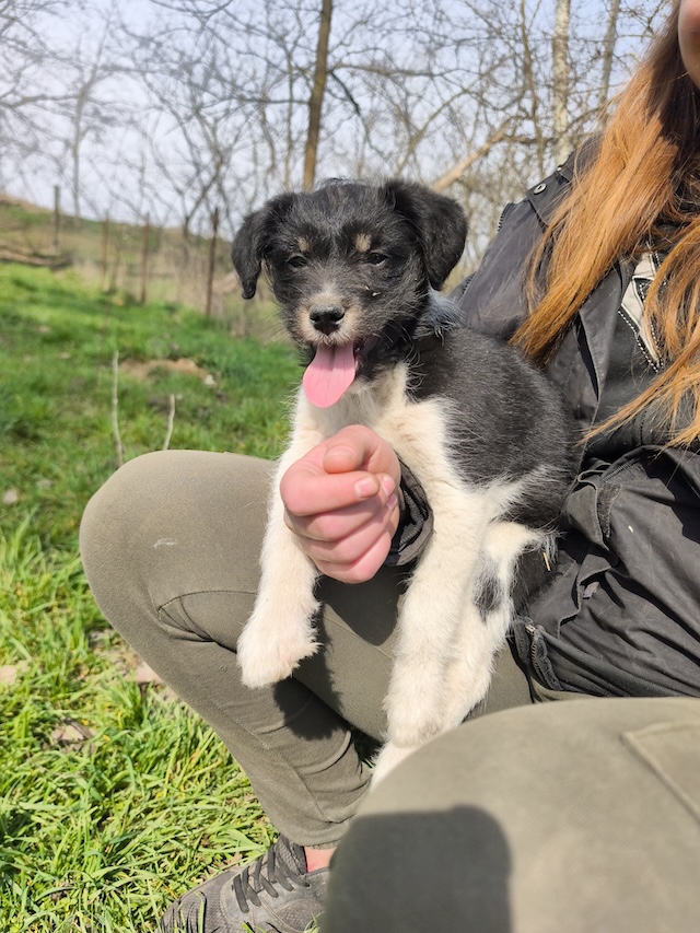 fellengel_margo_töpi_1