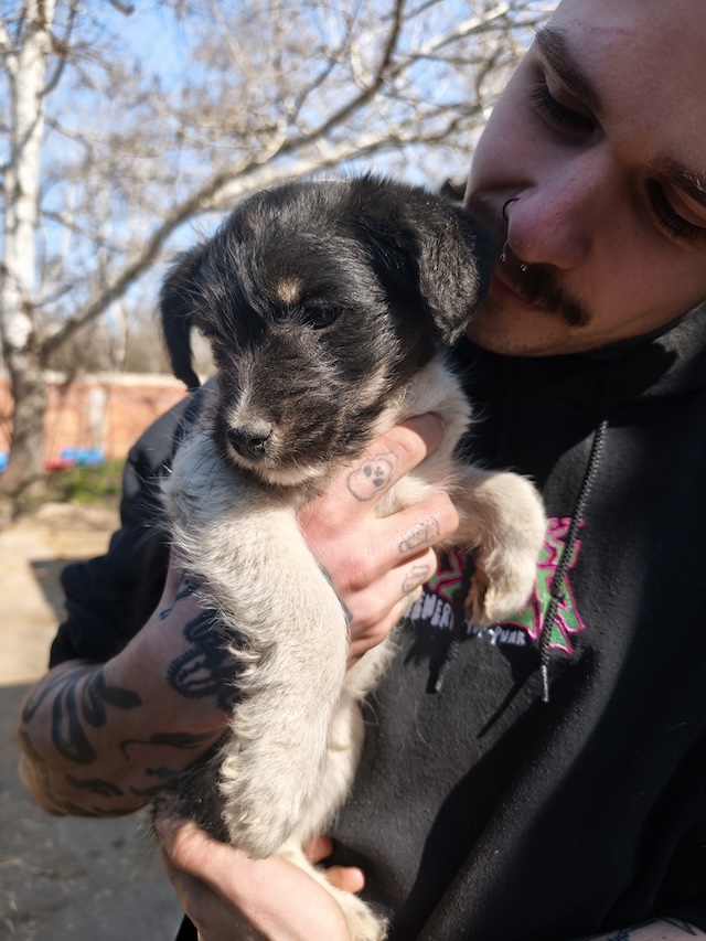 fellengel_margo_töpi_18