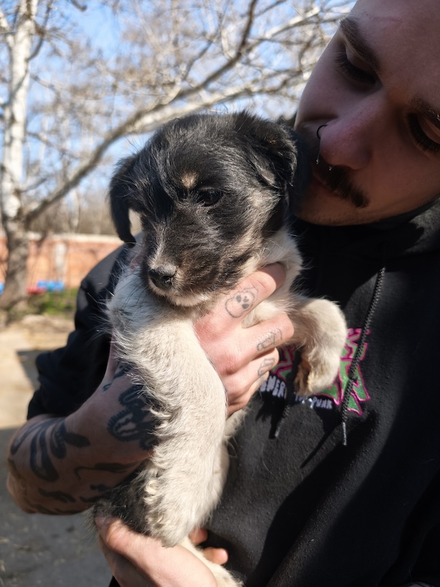 fellengel_margo_töpi_19