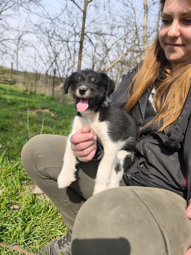 fellengel_margo_töpi_2