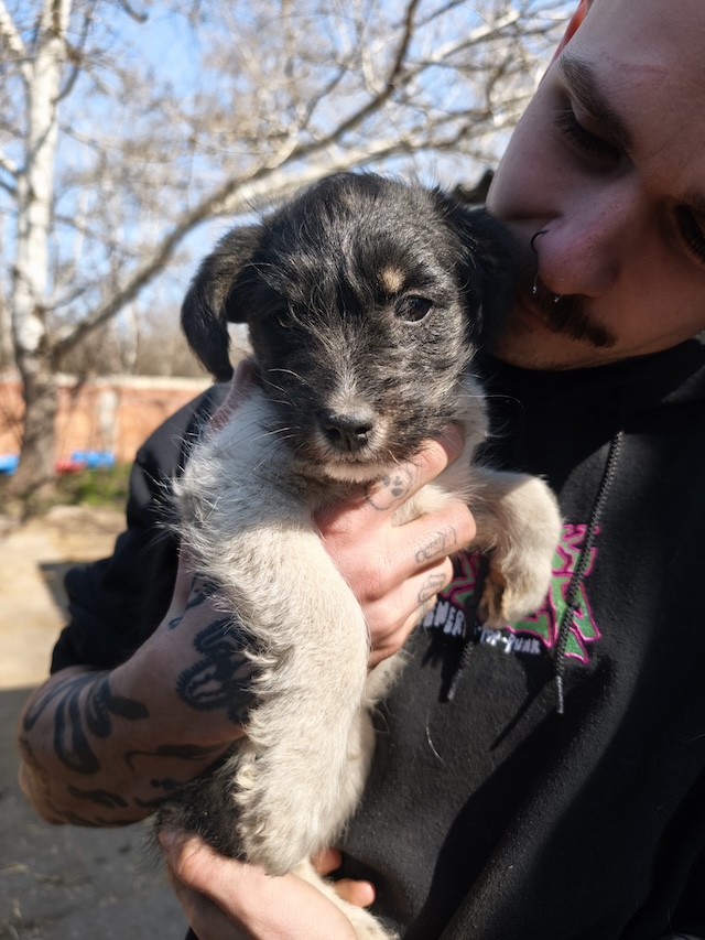 fellengel_margo_töpi_20