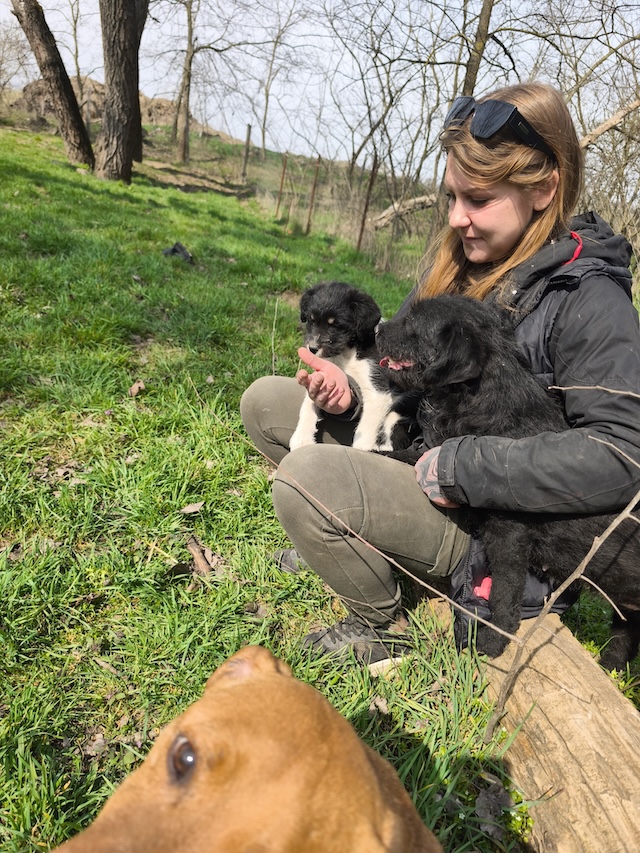 fellengel_margo_töpi_3