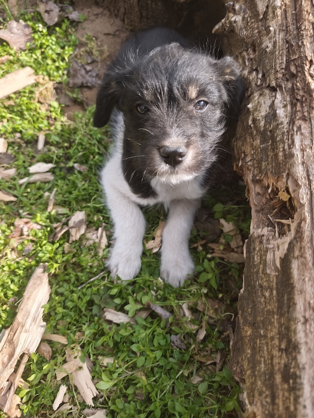 fellengel_margo_töpi_6