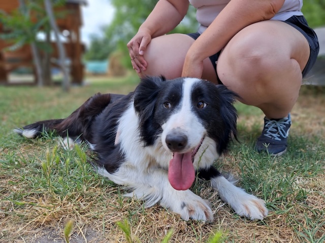 fellengel_molly1
