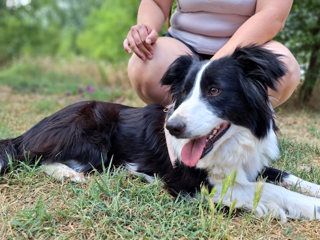 fellengel_molly3