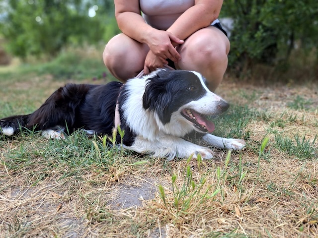 fellengel_molly6