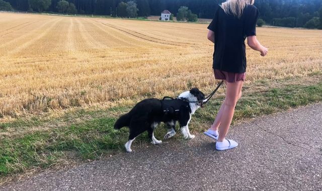 fellengel_molly_02