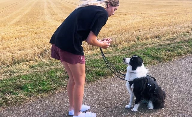 fellengel_molly_04