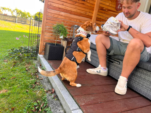 fellengel_picur11