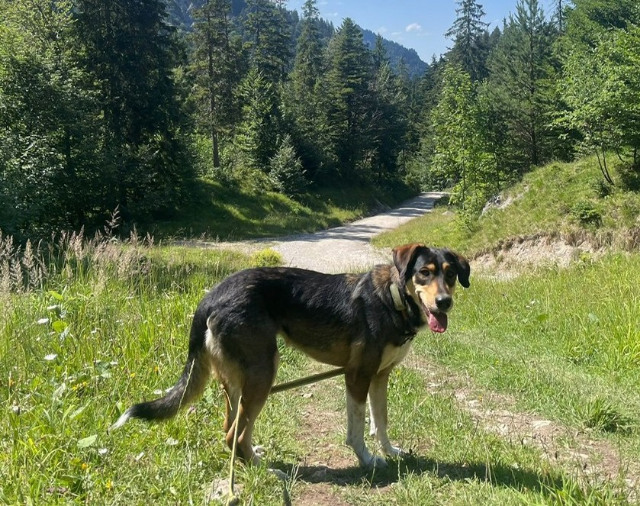fellengel_Leni_04