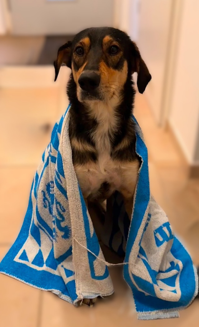 fellengel_Leni_09